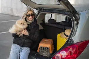 Top 7 Essential Dog Travel Tips for Stress-Free Trips