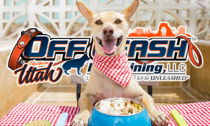 4 Essential Foundations for Raising a Happy & Healthy Puppy