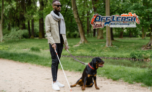 7 Powerful Facts About the First Guide Dog at Christmas