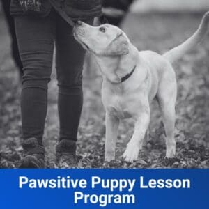 Pawsitive Puppy Lesson Program